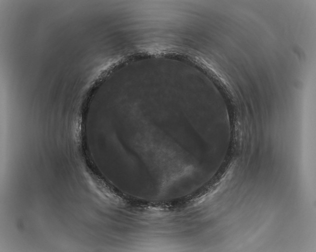 X0000111420592200907131204