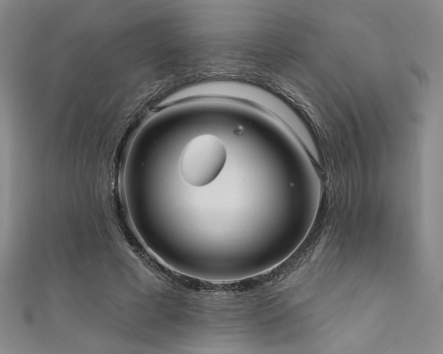 X0000111420593200907131204