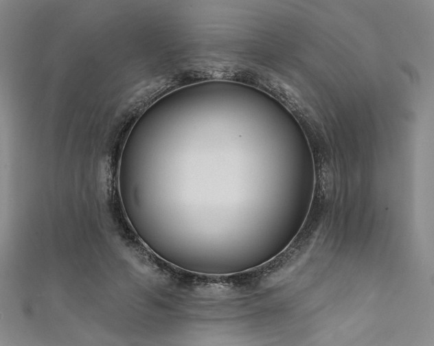 X0000111420594200907131204