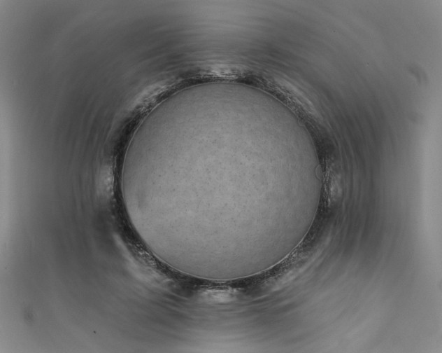 X0000111420595200907131204