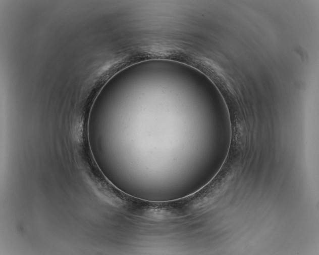 X0000111420596200907131204