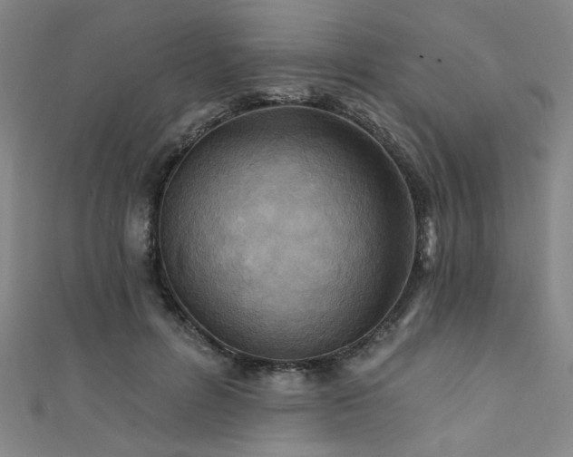 X0000111420600200907131203