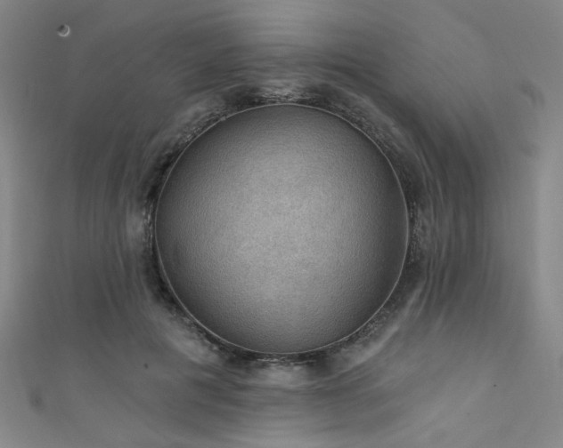 X0000111420601200907131203