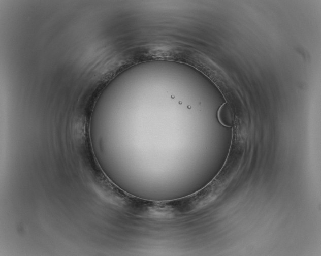 X0000111420603200907131203