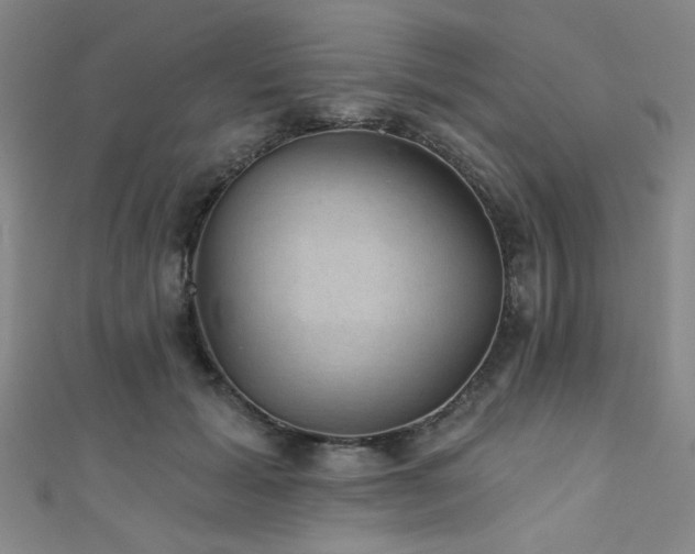 X0000111420605200907131203