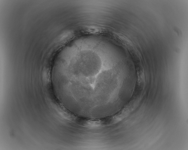 X0000111420606200907131203