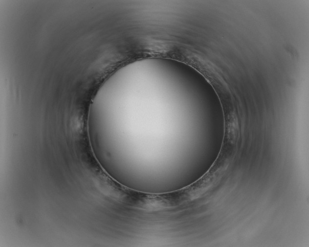 X0000111420608200907131203