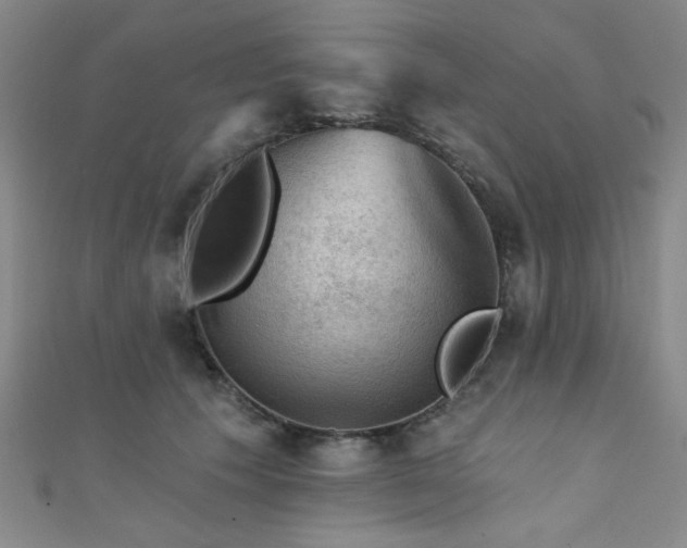 X0000111420609200907131203