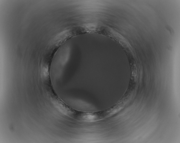 X0000111420610200907131203