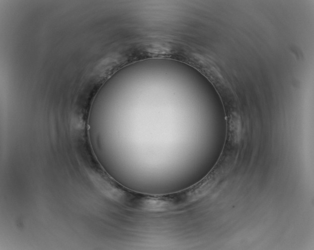 X0000111420614200907131203