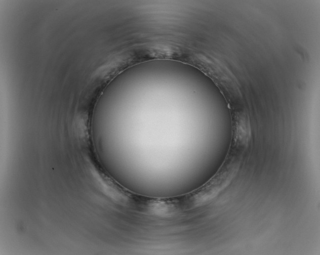 X0000111420616200907131203