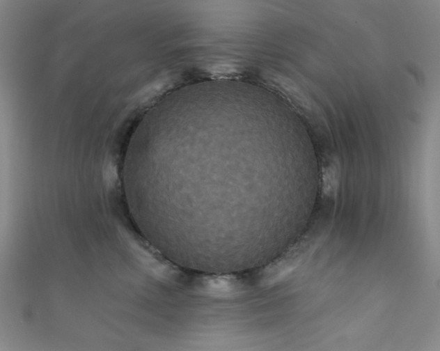 X0000111420618200907131203