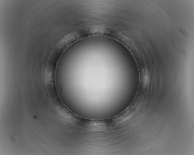 X0000111420619200907131203