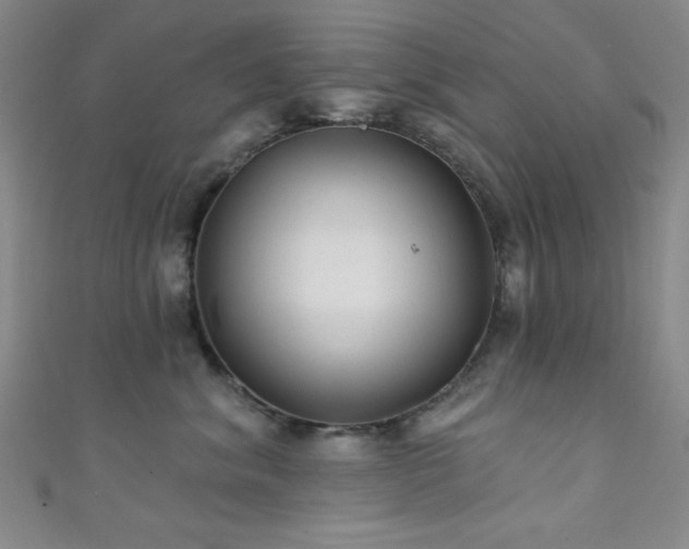 X0000111420620200907131203