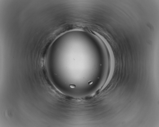 X0000111420621200907131203