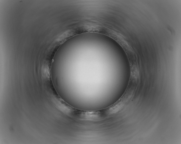 X0000111420622200907131203