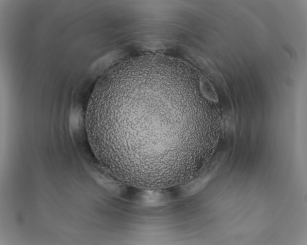 X0000111420623200907131203