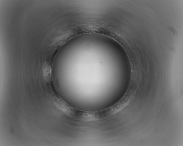 X0000111420624200907131203