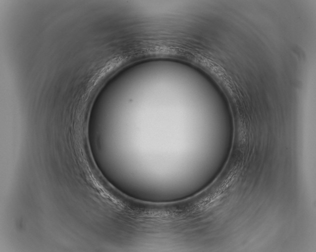 X0000111420625200907131203