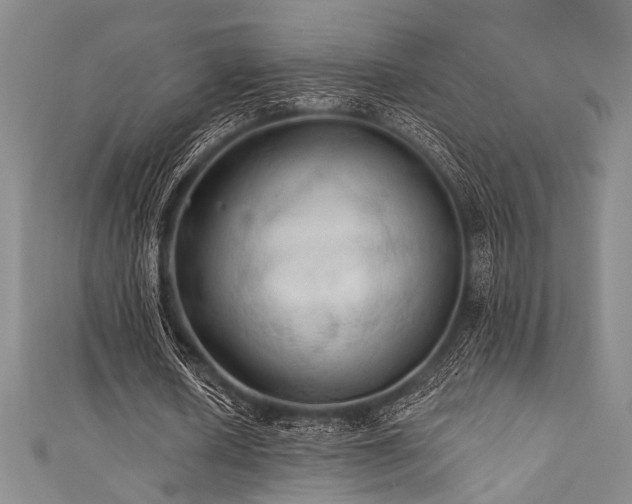 X0000111420626200907131203