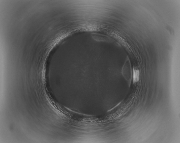 X0000111420627200907131203