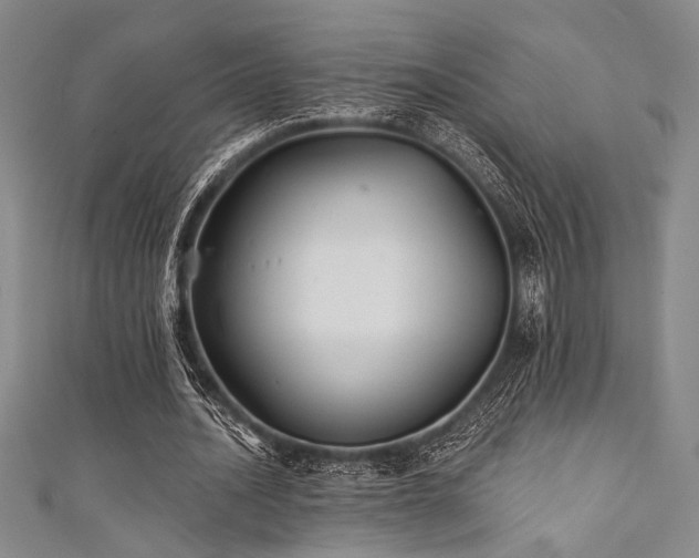 X0000111420628200907131203