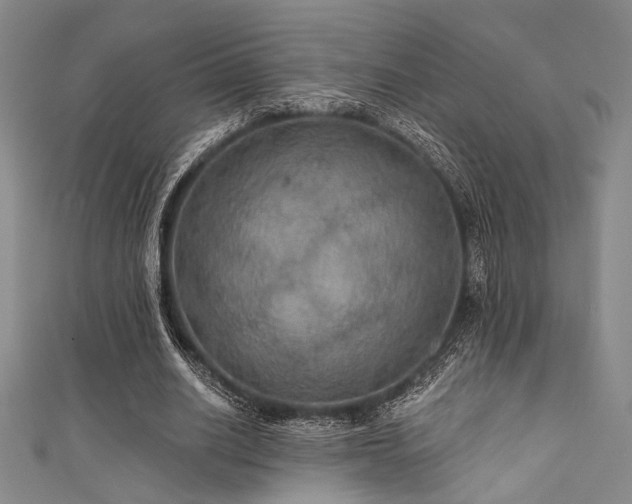 X0000111420630200907131203