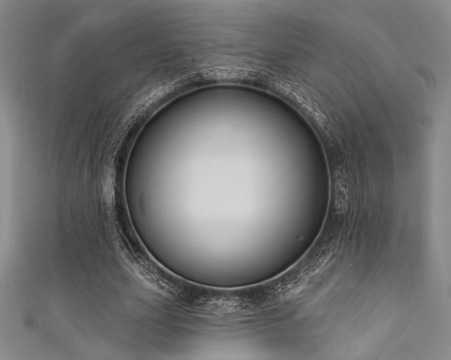 X0000111420631200907131203