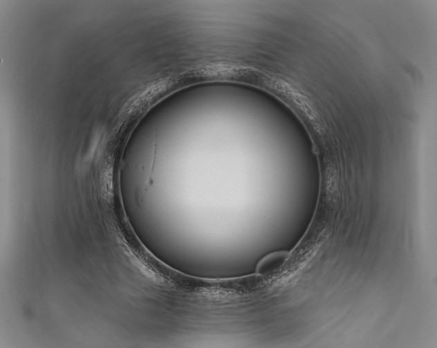 X0000111420633200907131203