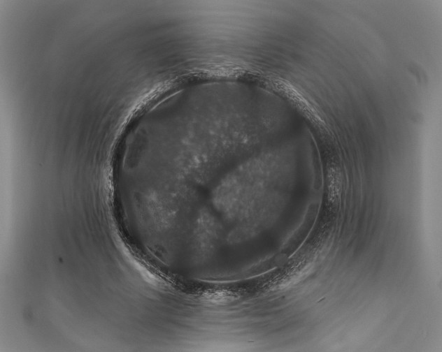 X0000111420634200907131203