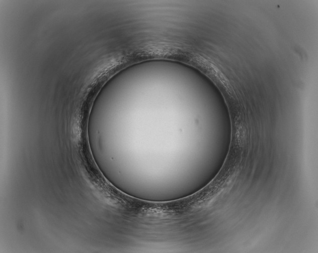 X0000111420635200907131203