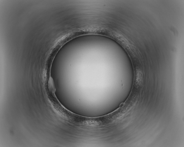 X0000111420636200907131203