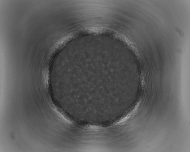 X0000111420637200907131203