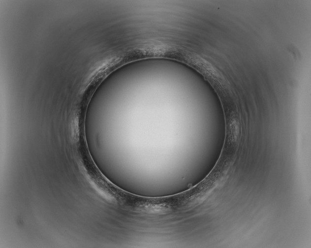 X0000111420638200907131203