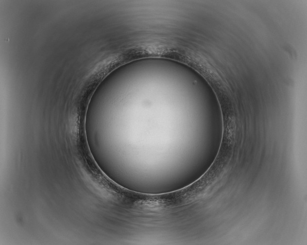 X0000111420639200907131203