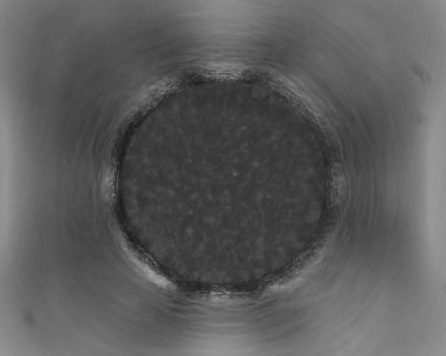 X0000111420641200907131203