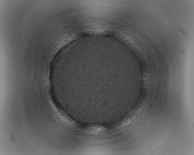 X0000111420642200907131203