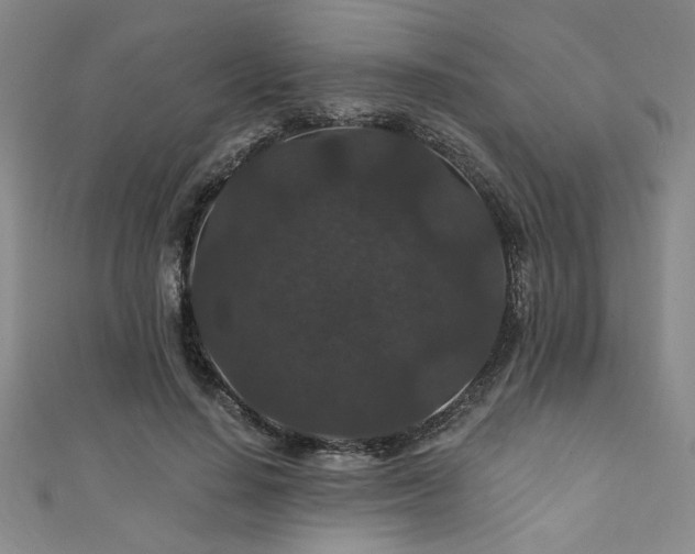 X0000111420644200907131203