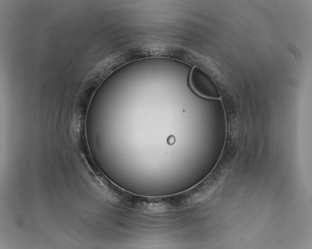 X0000111420645200907131203