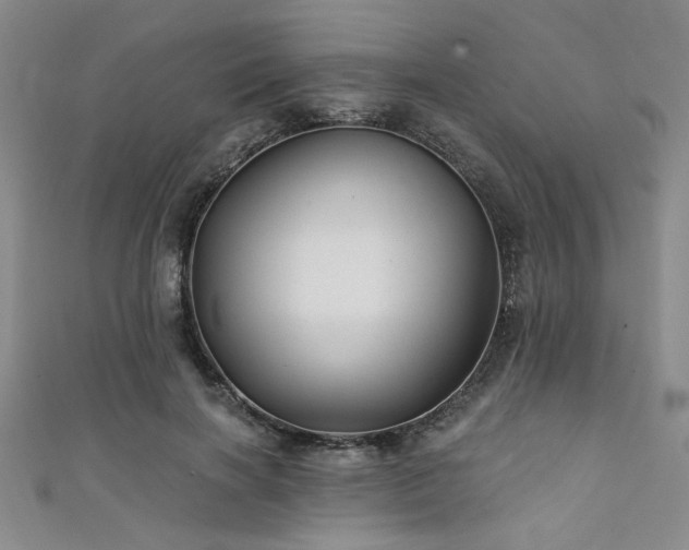 X0000111420646200907131203