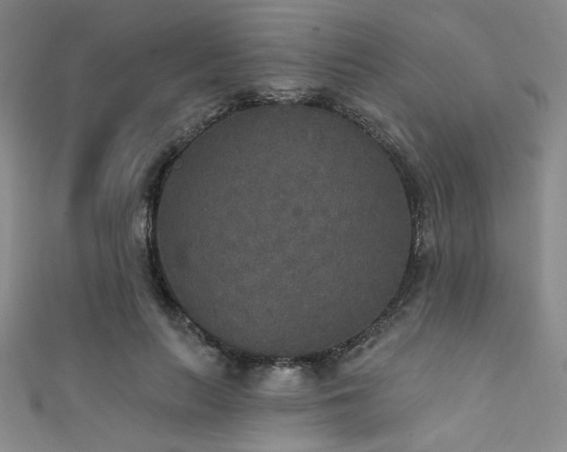 X0000111420647200907131203