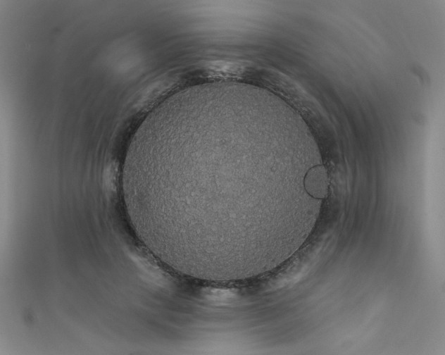 X0000111420649200907131203