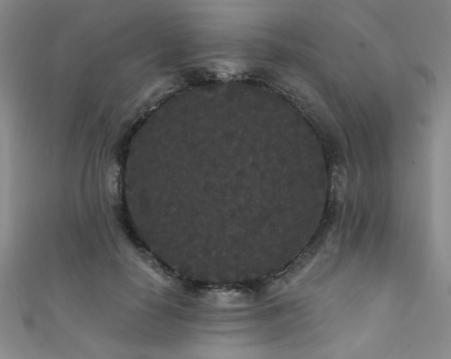 X0000111420650200907131203