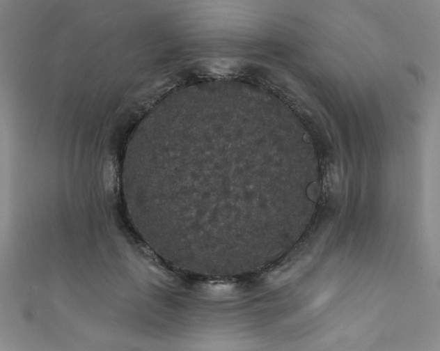 X0000111420651200907131203