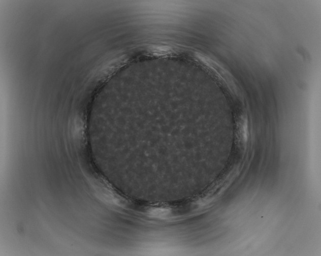 X0000111420653200907131203