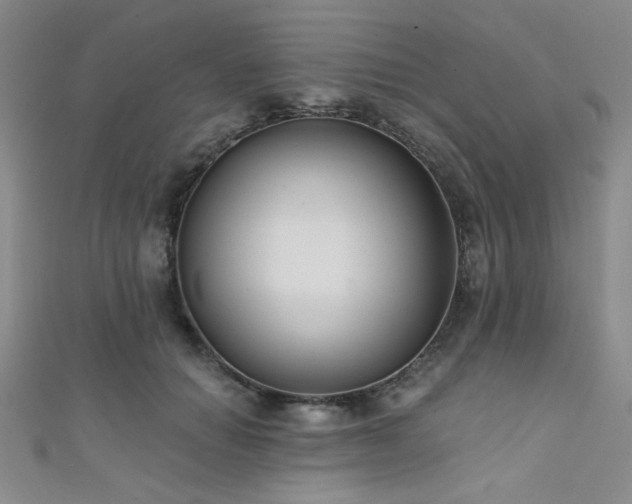 X0000111420654200907131203