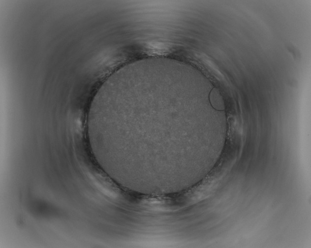 X0000111420655200907131203