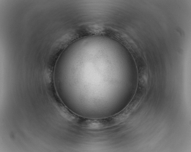 X0000111420658200907131203