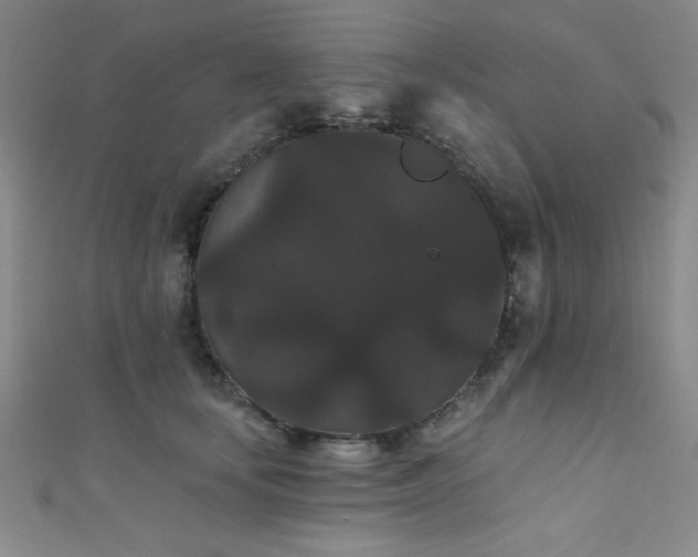 X0000111420659200907131203