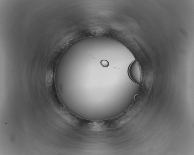 X0000111420660200907131203